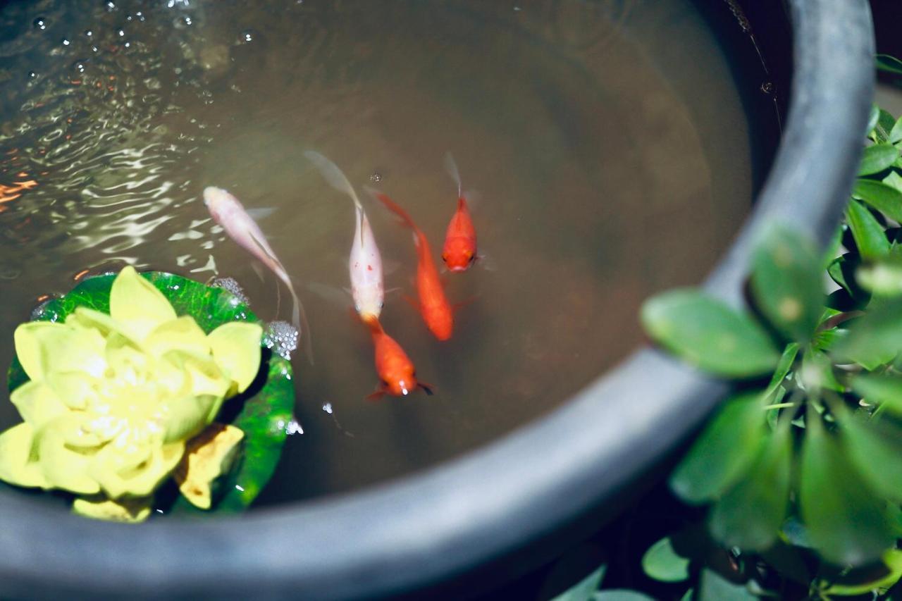 Pusu Zen Collection Hotel Xi'An Tây An Ngoại thất bức ảnh